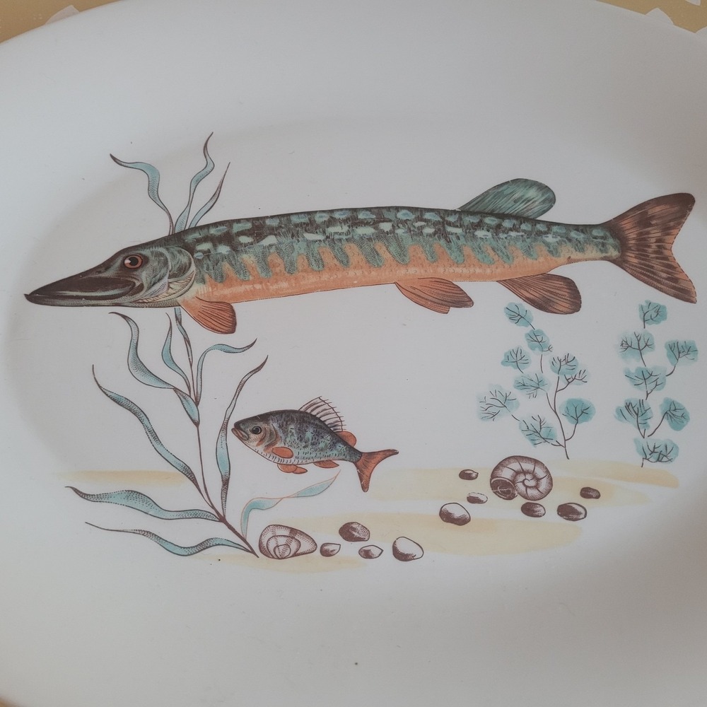Vintage Porcelain Pike Fish Aquatic Oval Serving Dish Made In Poland Retro